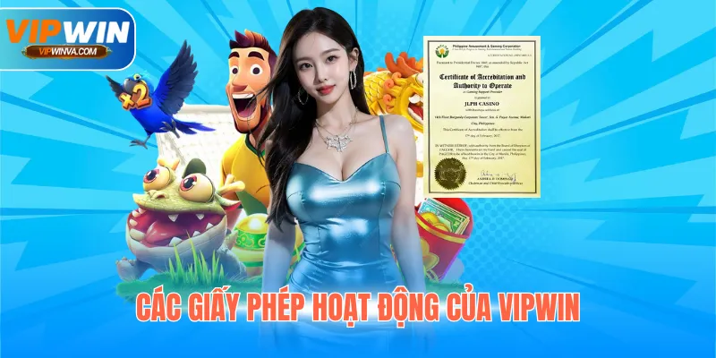 Các giấy phép hoạt động của Vipwin