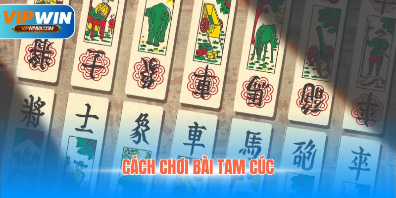 Cách Chơi Bài Tam Cúc - Tổng Hợp Mẹo Thắng Nhanh, Đơn Giản